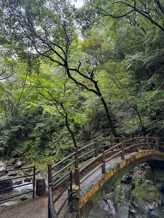 Nature’s Masterpiece in Miyazaki