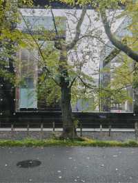 景點推薦：武藏野美術大學圖書館——藝術與建築的完美融合