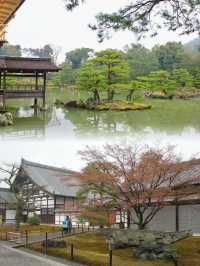 Golden Radiance in the Rain: Kinkaku-ji’s Timeless Beauty