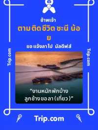 ปีใหม่นี้ไปล่องเรือดินเนอร์กัน