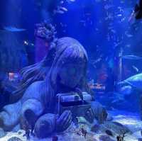 名古屋旅遊～名古屋水族館
