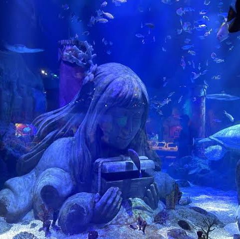 名古屋旅遊～名古屋水族館