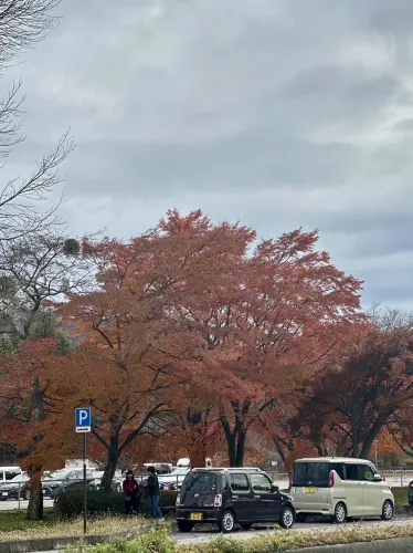 🍁 紅葉が織りなす秋の楽園:軽井沢の紅葉 🍂