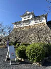 🇯🇵岡山｜遊岡山縣森林藝術祭