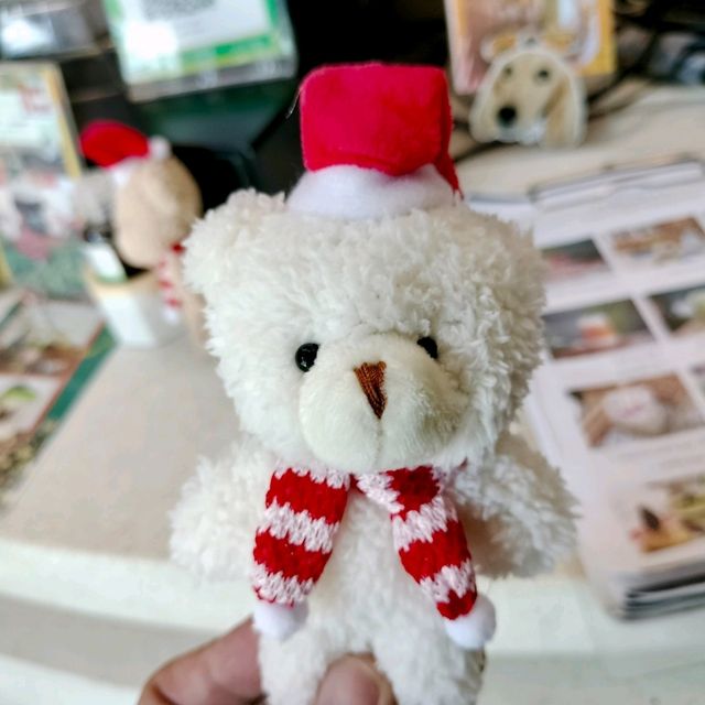 🎅คาเฟ่นั่งชิล Toplofty Cafe เขาใหญ่