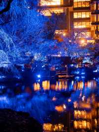 【無料で楽しめる！✨】八芳園のブルーライトアップが幻想的すぎる！！💡