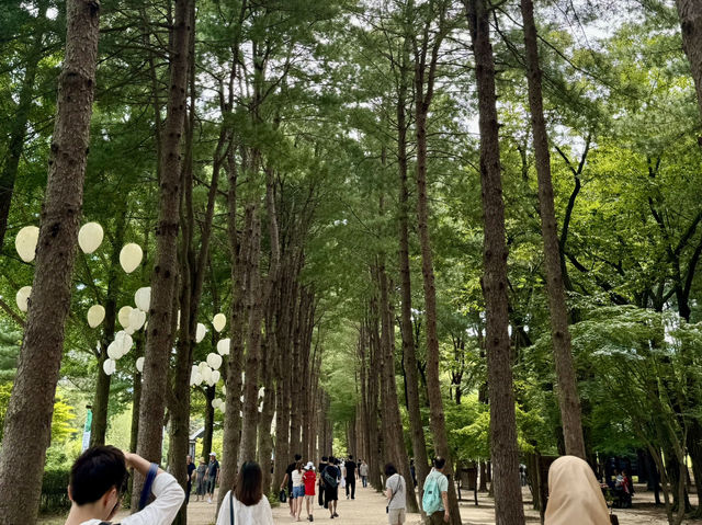 PART 2 | CHASING THE SEASONS ON NAMI ISLAND A DAY OF NATURAL BLISS