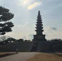드라마 빈센조 배경으로도 나왔던 야외데이트 하기 좋은 명소 - 충주 탑평리 칠층석탑