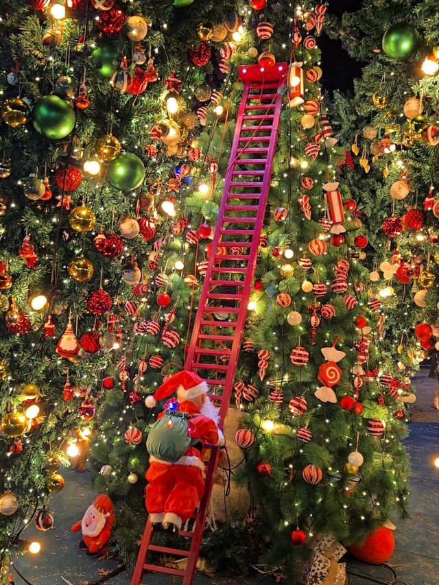 여친 데려가면 칭찬받을 크리스마스카페🎄