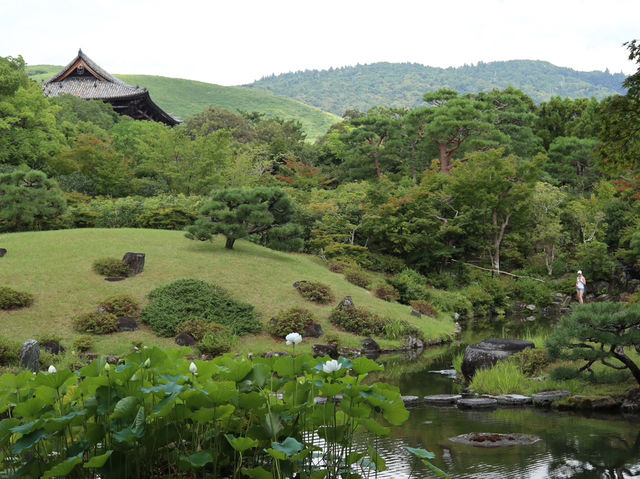 Tranquility Awaits at Yoshikien Garden in Nara