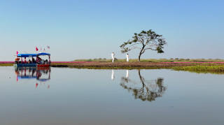 A Serene Escape at Red Lotus Sea