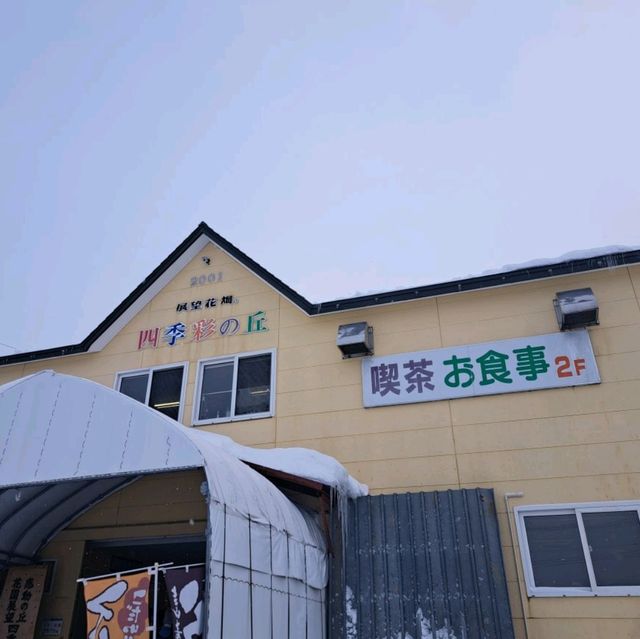 北海道旅遊🥳四季彩之丘雪景打卡熱點💓自駕雪車體驗分享🛞