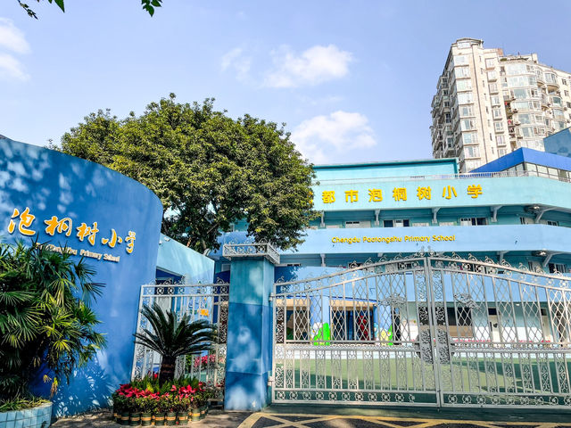 청두 citywalk....泡桐树街