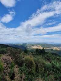 Orongorongo Track