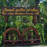 Old Phuket Farm
