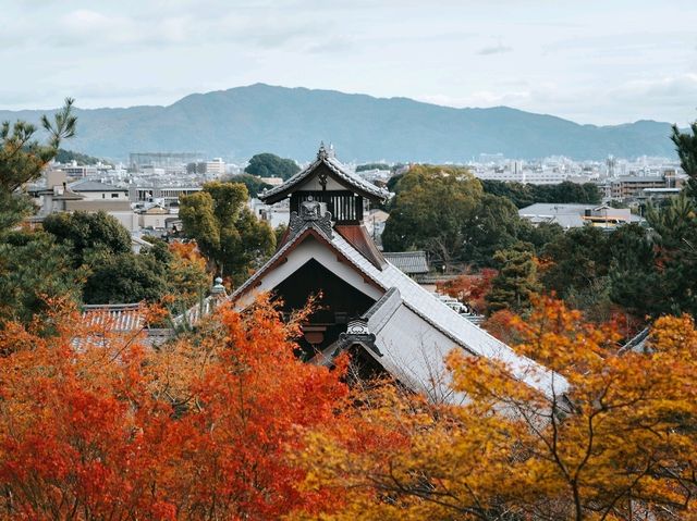วัดเทนริวจิ (Tenryuji Temple )