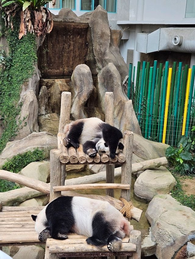 A day trip to Zoo Negara Malaysia