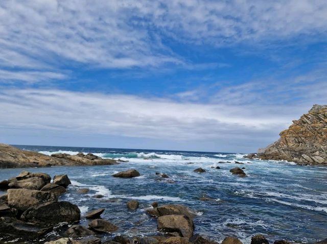 Cíes Islands (Galicia)