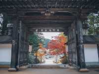 🍁秋色に染まる金剛峯寺で心癒されるひとときを🍁