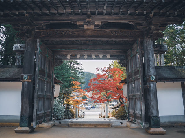 🍁秋色に染まる金剛峯寺で心癒されるひとときを🍁