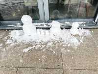 ❄️☃️🧤 제주 겨울의 기억 속 한 장면