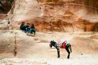 The Incredible Journey Through Time in Petra, Jordan