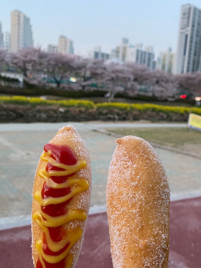 유채꽃 맛집 온천천 데이트❤️
