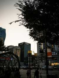 Gangnam: Seoul’s Trendy District of Luxury and Style