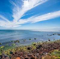 Breathtaking Spring Afternoon in Mornington Peninsula