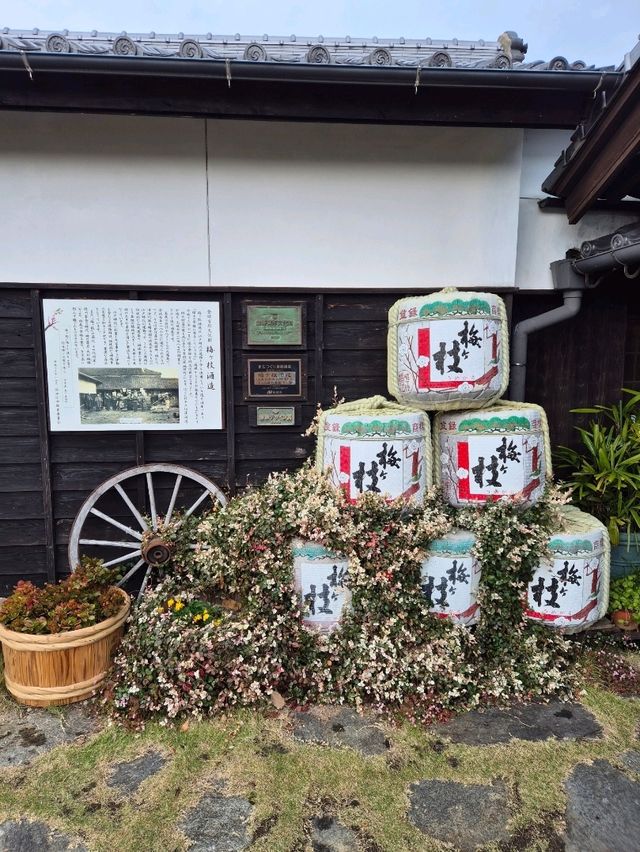 Umegae Sake Brewery Nagasaki