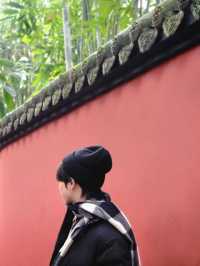 ✨Easy Day trip in Chengdu 