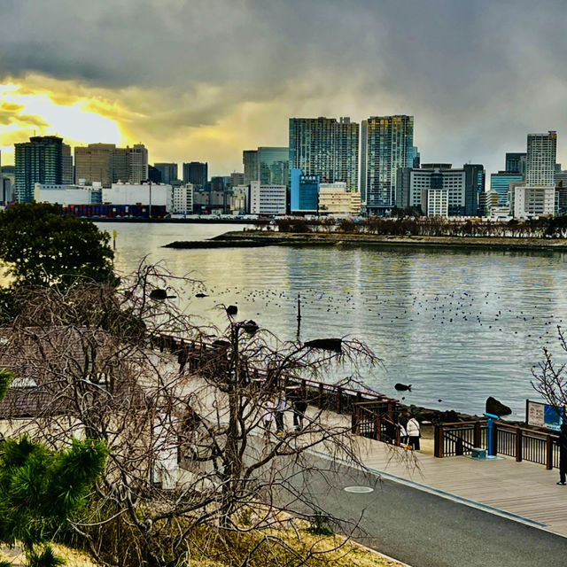 打卡日本東京台場海濱公園