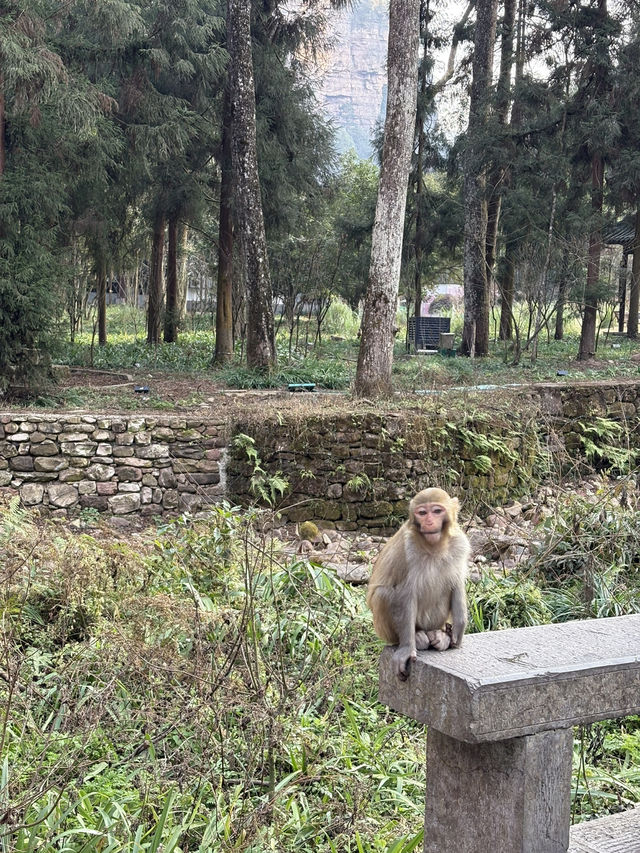 How to spend 2 days in Zhangjiajie 