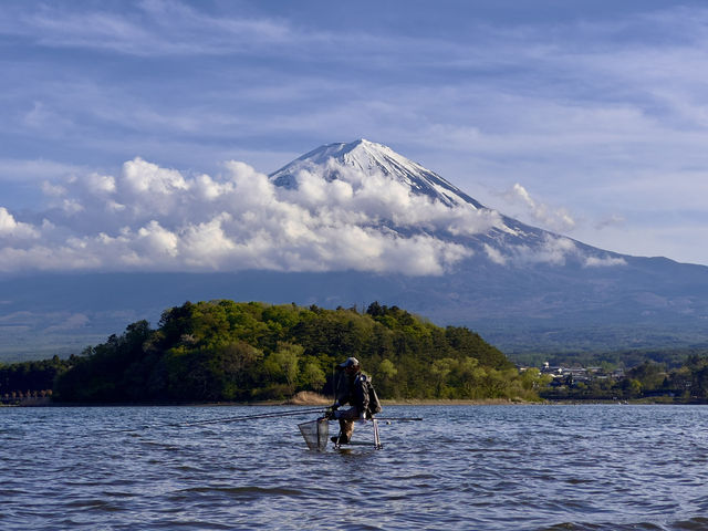 Oishi Park: The Perfect Frame for Mount Fuji