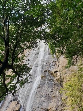 杜鵑瀑布