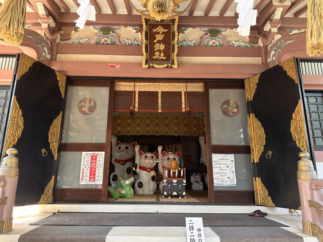 尋找東京🇯🇵招財貓🐱之旅(一)