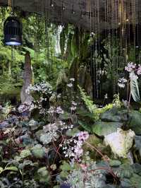 🌿✨ 新加坡必訪夢幻花園——濱海灣花園 ✨🌿