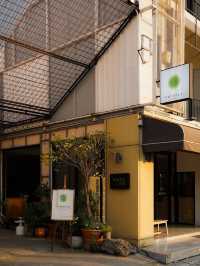 nordlys coffee