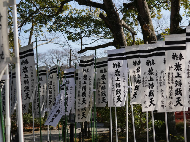 箱根神社，來感受古日本的風情！🇯🇵⛩️