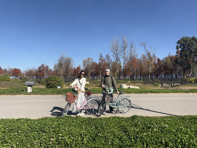 Cycling Around Erhai Lake – My Favorite Itinerary in Dali 🚴‍♂️🌊✨