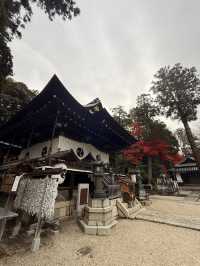 滋賀｜近江八幡水鄉風情 連接琵琶湖的昔日商業動脈