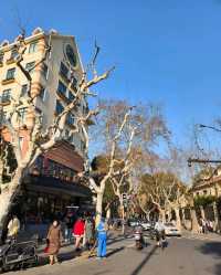 武康大廈/安福路/德萊蒙德住宅/愚園路