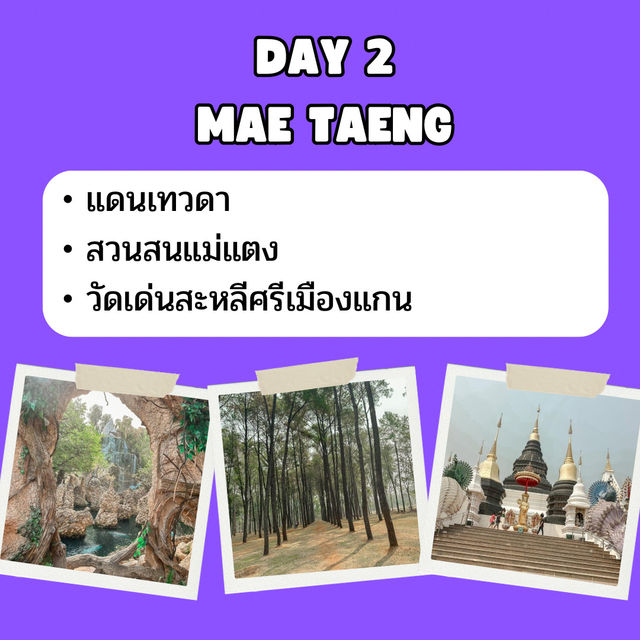 แจก แพลน เที่ยวเชียงใหม่ 3 วัน 2 คืน