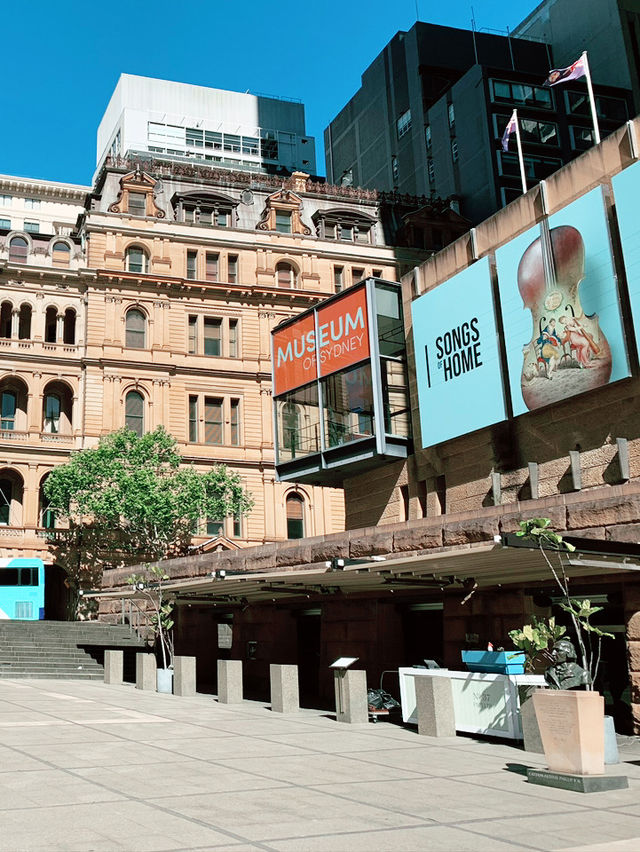 Sydney’s Downtown Charm: Where Hills Meet Skyscrapers