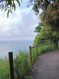 Hidden wonders beyond Apollo Bay