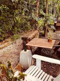 Barnana Land Café