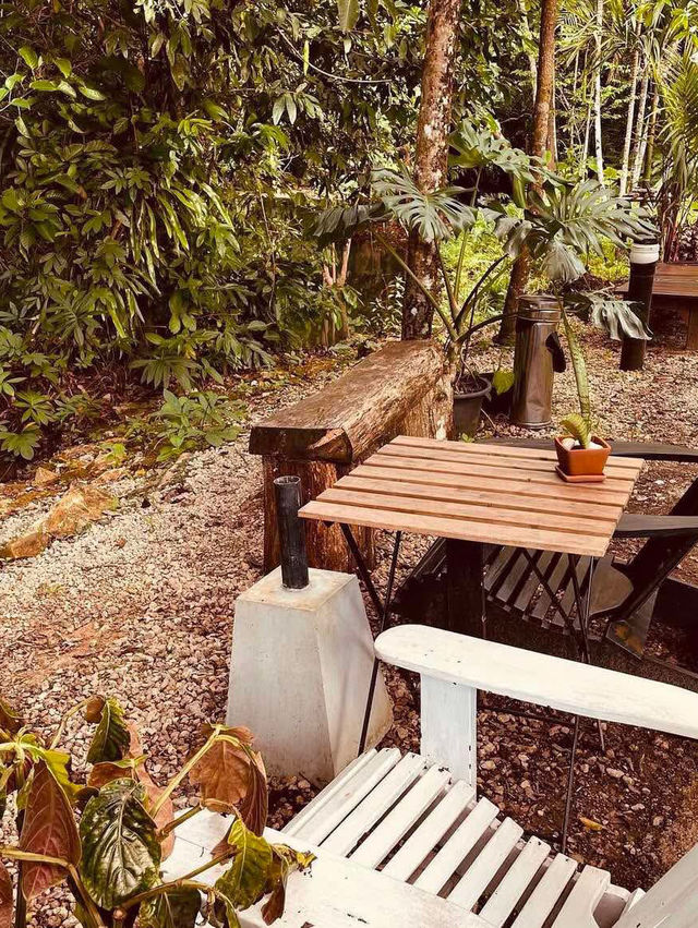 Barnana Land Café