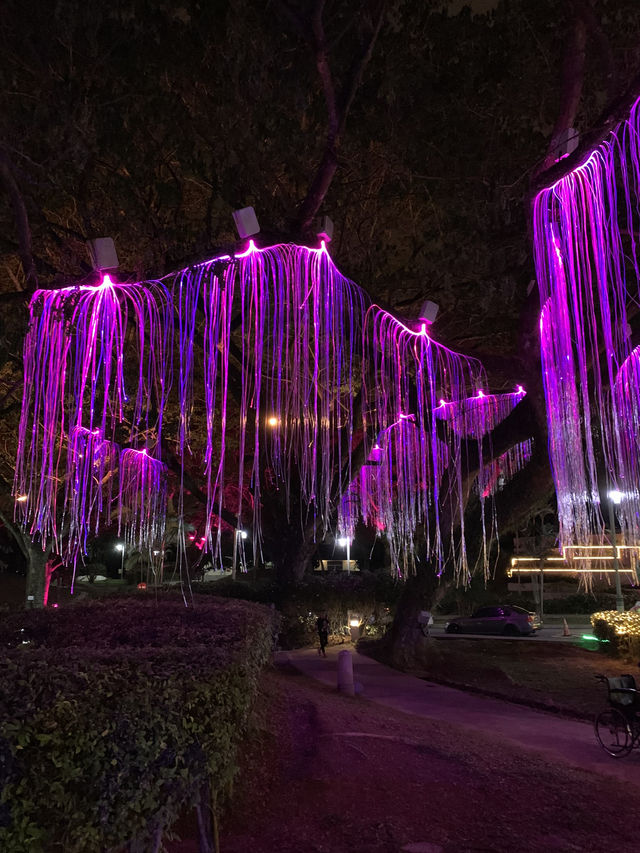 A Night Stroll Through Taman Putra Perdana