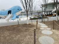 宜昌滨江公园🐳免费遛娃宝藏胜地❤️
