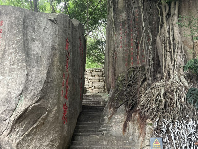 浪漫鋼琴城🎹5A旅遊景點